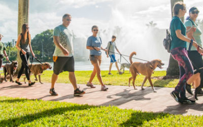 3 Dog Gone Easy New Years Resolutions – Miami Dog and Puppy Training